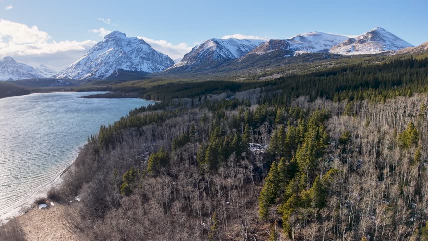 Aerial view of a winding river lined with dense evergreen forest and snow-covered mountains, under a clear blue sky near Glacier National Park in Montana.