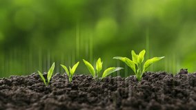 The concept of sustainable investment and business growth; green investment; environmental responsibility; green seedlings growing in the soil; with a green financial graph. - Powered by Shutterstock - Get 15% off with code: PIKWIZARD15