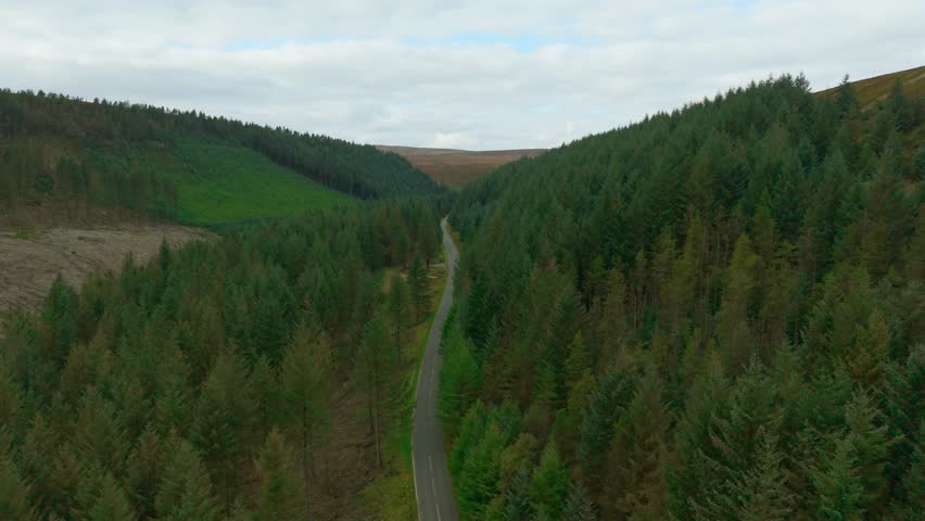Tranquil mountain road winding through lush forest valley. Quiet scenic route curving between pine covered hills. Peaceful countryside highway stretching across green woodland