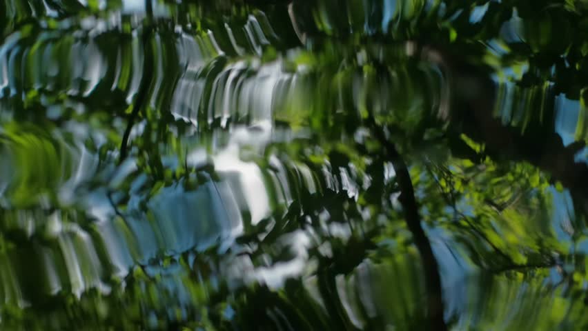 The mesmerizing dance of light and shadow on water creates an abstract visual symphony of nature's elements