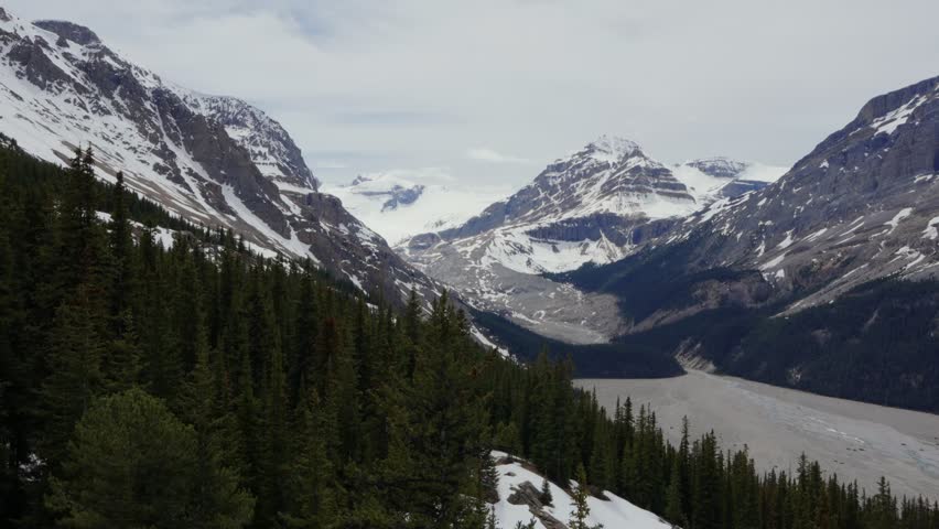 Peyto Lake with cracked ice and turquoise waters at the base of snow capped mountains and pine forests in Banff national park