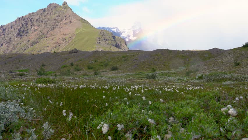 Wide alpine meadow with cotton grass and green vegetation leading toward rugged mountains. A soft rainbow appears near snow-capped peaks under a bright sky, creating a peaceful natural landscape.