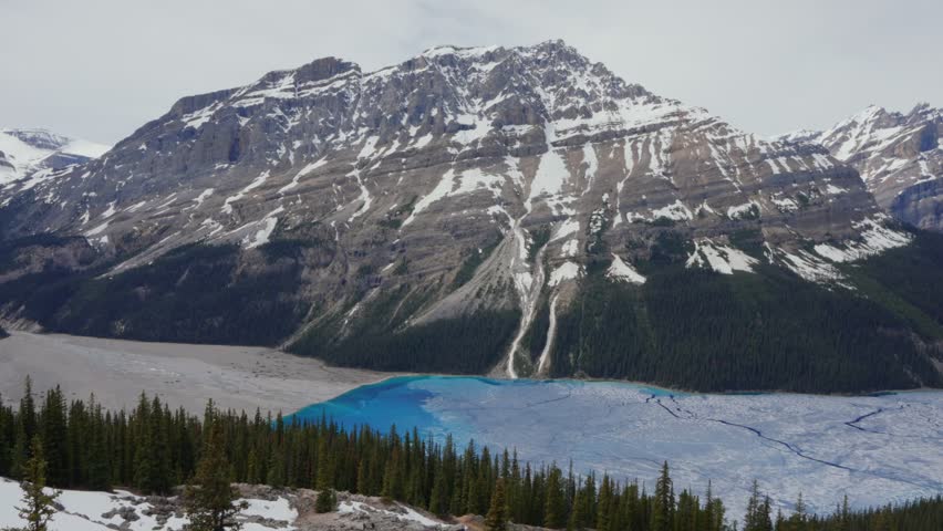 Peyto Lake with cracked ice and turquoise waters at the base of snow capped mountains and pine forests in Banff national park