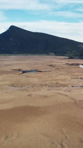 Aerial wetland with reeds dry grass and mountain landscape horizon