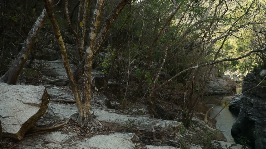 Yelapa stream traversing a rocky gorge, showcasing natural formations and lush plant growth in Jalisco, Mexico