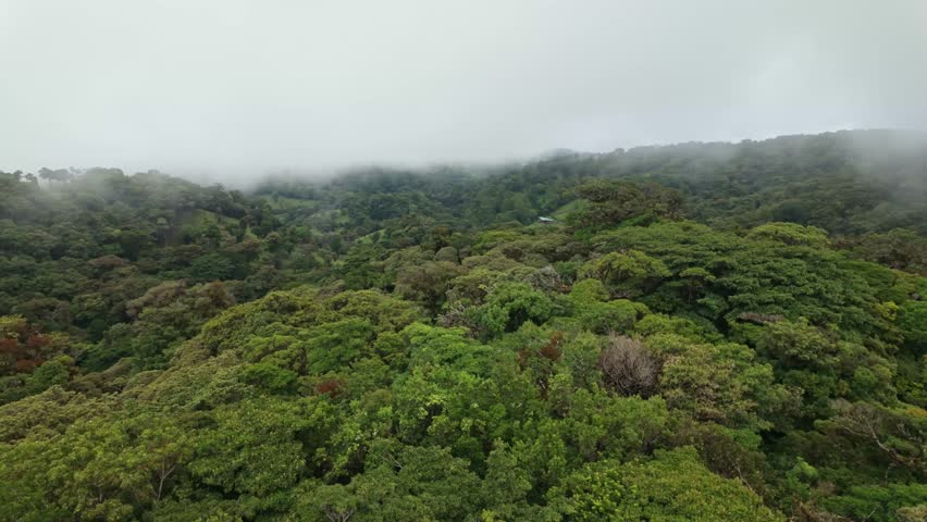 Aerial view of Monteverde