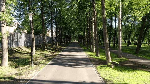 Drone Flying Forward along Shaded Park Alley