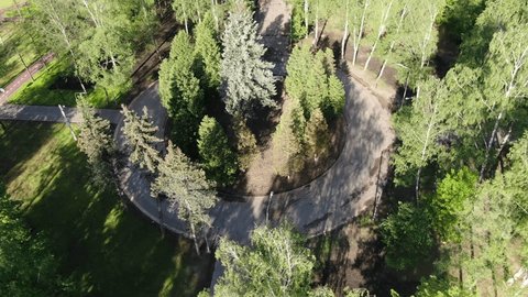 Backward Ascending Drone View over Park Trees
