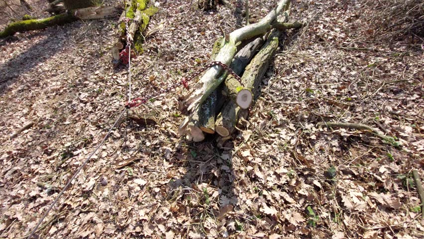 Logs being pulled through the forest by a winch and steel cable