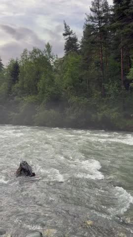 FAST FLOWING MOUNTAIN RIVER WITH TURBULENT WATER AND ROCKS SURROUNDED BY DENSE GREEN FOREST. MISTY ATMOSPHERE, WILDERNESS SCENERY, NATURE, ADVENTURE AND OUTDOOR TRAVEL CONCEPT.