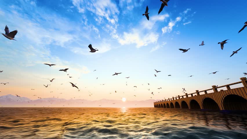 Seagulls flying freely over the lake at sunset