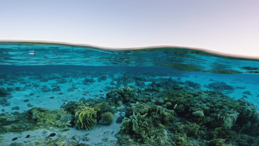 Half underwater view of shallow coral reef at sunset with calm sea surface and clear sky in Red Sea Egypt