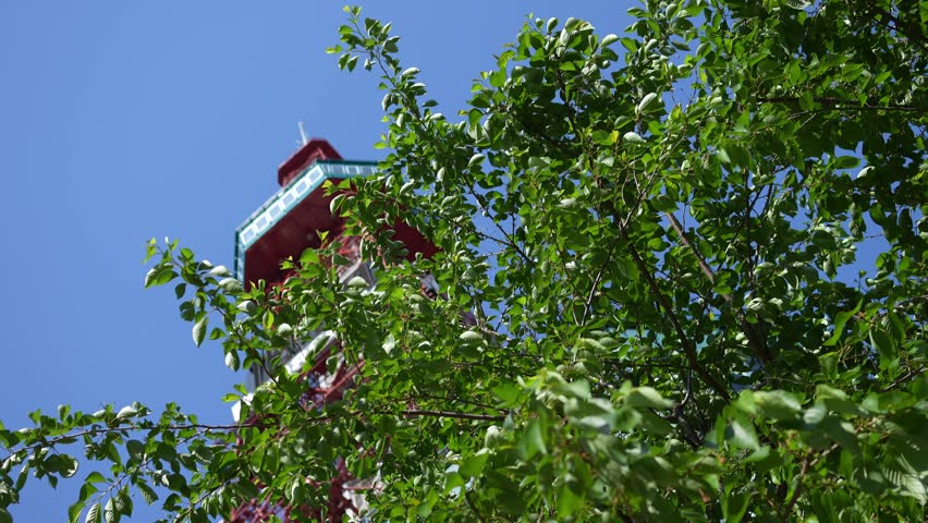 A beautiful view of the Sapporo TV Tower with fresh greenery and a clear blue sky, taken on a sunny daytime in May. Shows people and tourists walking in Odori Park, Hokkaido, Japan.