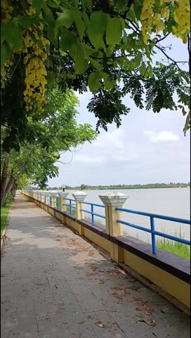 Scenic riverside walkway with blue railing, yellow flowering trees, and calm water under a clear sky. Boeng Sno, Oddar Meanchey, Cambodia - April 21, 2025