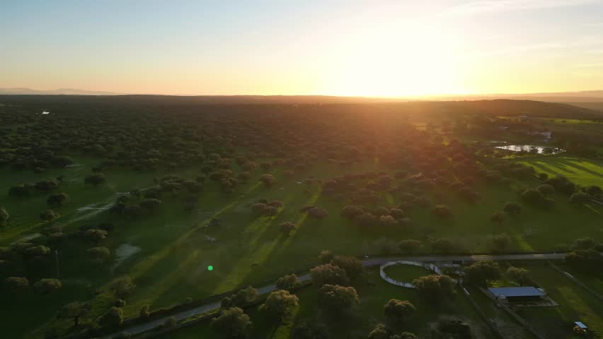 Aerial view of traditional Spanish dehesa landscape at sunset with scattered oak trees and long shadows across green pasture.