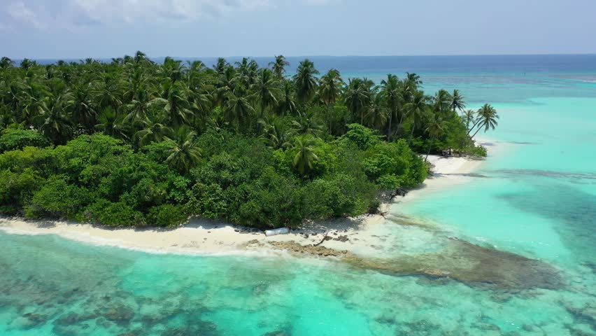 Aerial view of tropical island with coconut palm trees and turquoise ocean water in Maldives