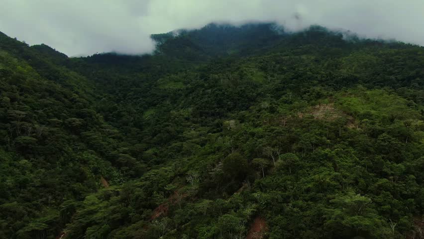 Aerial drone view flying forward toward the dense green vegetation of mountains in Oxapampa, Peru, under a cloudy sky.
