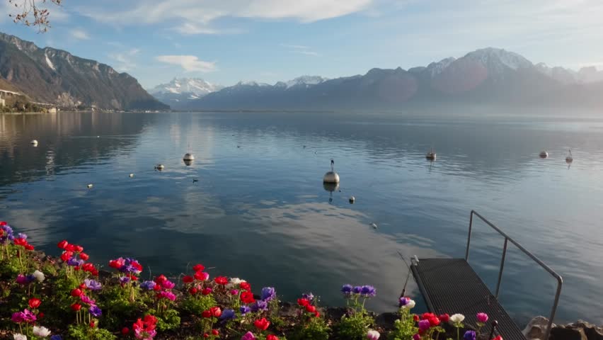 Scenic view of Lake Geneva in Montreux, Switzerland, with colorful flowers in the foreground, calm reflective water and alpine mountains in the background. Soft sunlight creates a peaceful and premium lakeside atmosphere.