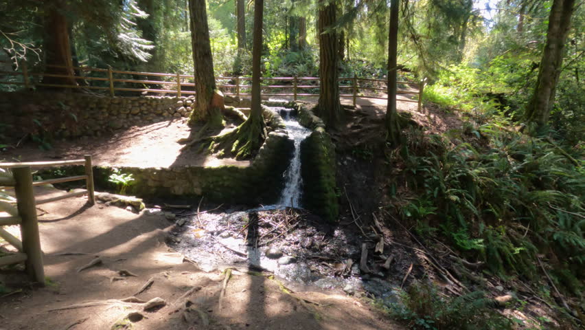 A small waterfall in the park, enclosed by a wooden fence