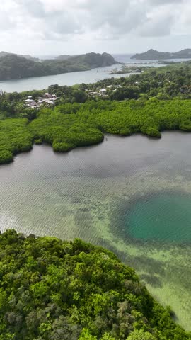 High angle drone shot reveals vibrant green mangrove forests along the tropical Pacific coastline