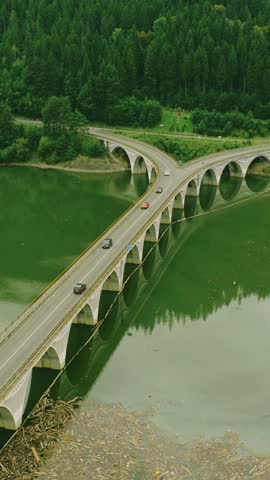 Cars are crossing a bridge over a lake with a lot of driftwood