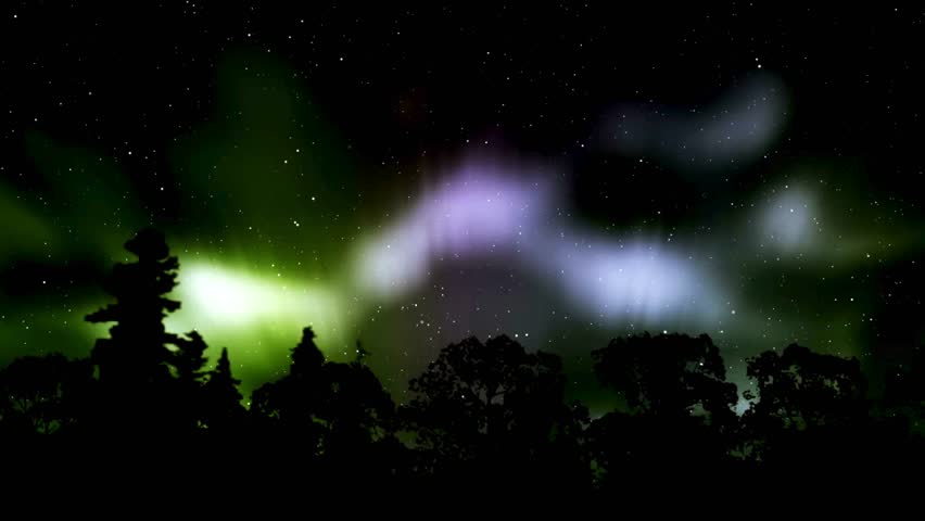 Beautiful green and purple aurora borealis northern lights dancing in the night sky over a dark silhouette of a forest and pine trees landscape