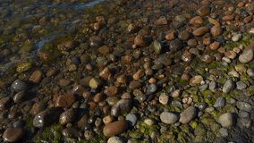 Close view of a rocky shoreline with clear rippling water rounded stones green seaweed and gentle wave motion on a sunny summer day. - Powered by Shutterstock - Get 15% off with code: PIKWIZARD15