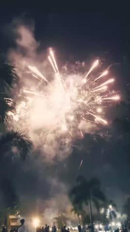 A night sky filled with the beautiful glow of fireworks