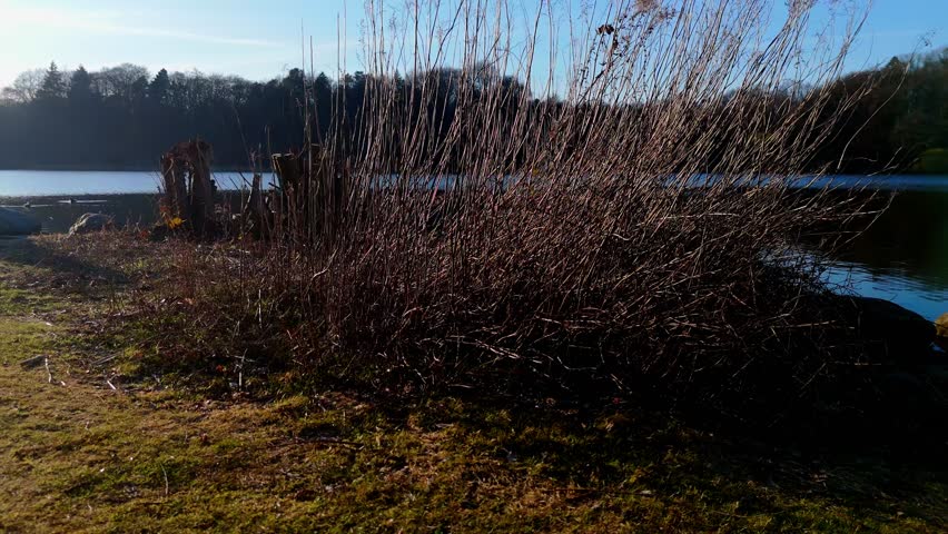 Aerial view on the city park in Hamburg Harburg
