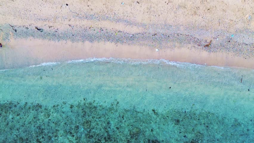 Aerial View of a Tropical Beach Shoreline
