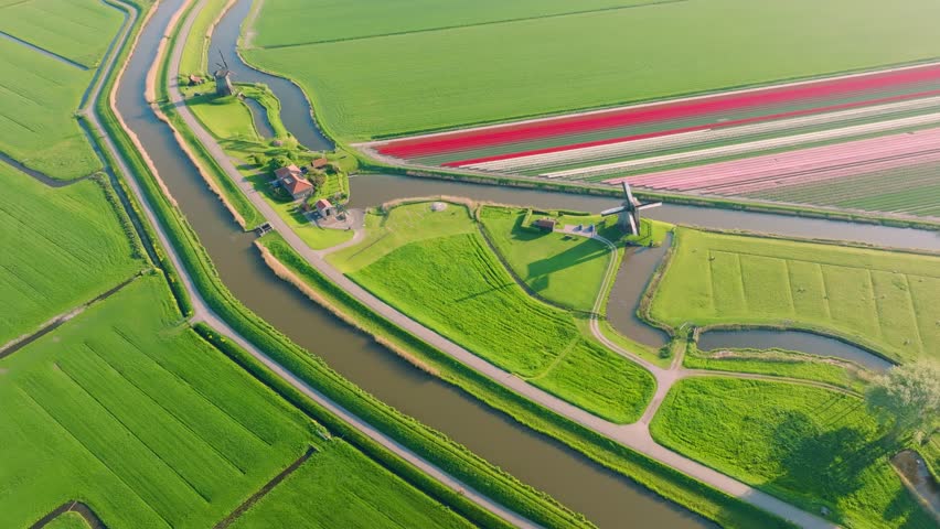 Aerial view of vibrant tulip fields in the Netherlands. Traditional Dutch windmill stands by a calm canal. Symmetrical rows of colorful flowers creating a stunning geometric pattern.
