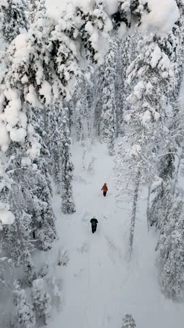 Explore the enchanting winter landscape of Akaslompolo in Lapland, Finland. Snow-laden trees create a serene atmosphere as adventurers navigate through the pristine wilderness.