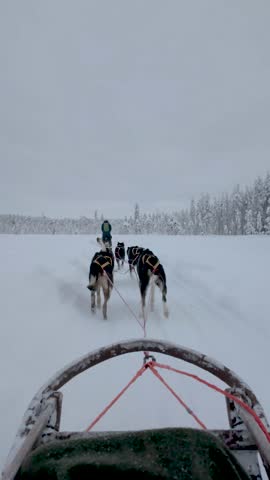 Feel the excitement of dog sledding as a team of eager huskies pulls you across a pristine winter landscape in Akaslompolo, Lapland, Finland. Snow blankets the serene surroundings.
