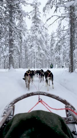 Experience the excitement of a dog sledding journey in the enchanting winter landscape of Akaslompolo, Lapland, Finland. Snow-covered trees surround the trail as eager huskies pull the sled.