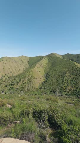 Vertical pan of lush green California hills under a clear blue sky