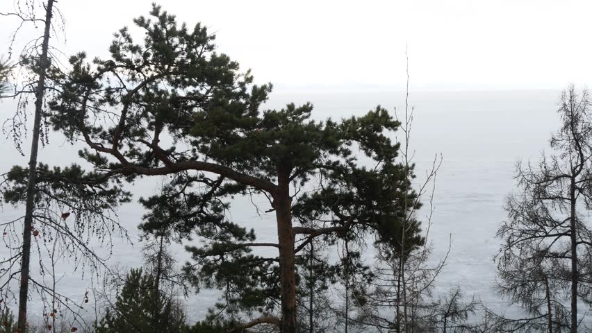 The icy shore of Lake Baikal in Russian Siberia in late spring. The northernmost point of Lake Baikal is located in the small town of Nizhneangarsk.
