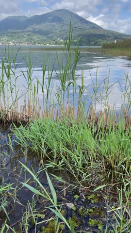 Close-up of an old stone mortar made from porous volcanic rock with a deep carved cavity. Traditional hand-carved stone object with rough texture, suitable for archaeology, heritage, culture, history, and natural material concepts.
