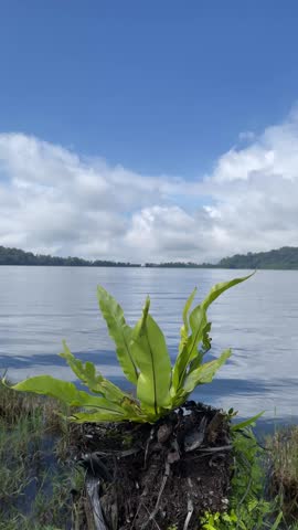 Close-up of an old stone mortar made from porous volcanic rock with a deep carved cavity. Traditional hand-carved stone object with rough texture, suitable for archaeology, heritage, culture, history, and natural material concepts.