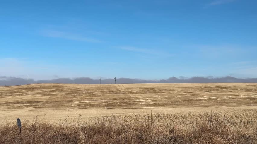 Driving past fenced prairie land with grazing cattle under cloudy sky in Alberta, Canada