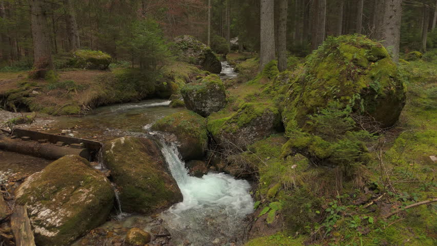 Breathtaking small waterfall flanked by lush mossy boulders and ferns in a damp coniferous forest, slow aerial orbit, drone shot