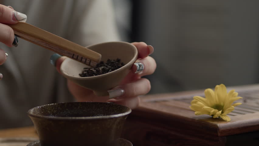 Close up shot of hands of anonymous woman using bamboo tweezers while adding loose tea leaves to gaiwan during traditional ceremony