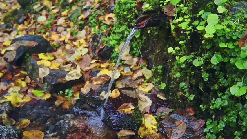 Autumn fresh spring in the montains