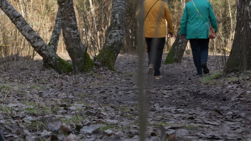 Two women in bright jackets walk away down a muddy trail covered in fallen leaves inside a bare birch forest. Concept of active lifestyle, outdoor recreation, and enjoying nature together.