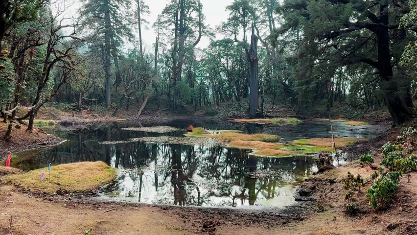 Landscape view of natural Jaljale pond in Charrate, Panchthar, Nepal.