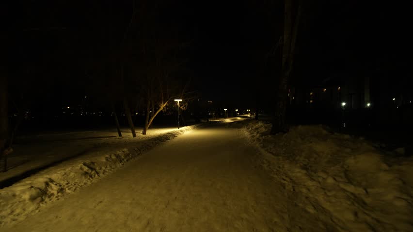 A snowy path in a park, illuminated by streetlights at night.
