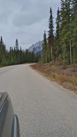 Driving through the Rocky Mountains surrounded by dense forest