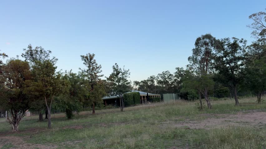 Morning at the homestead, view from the dam  