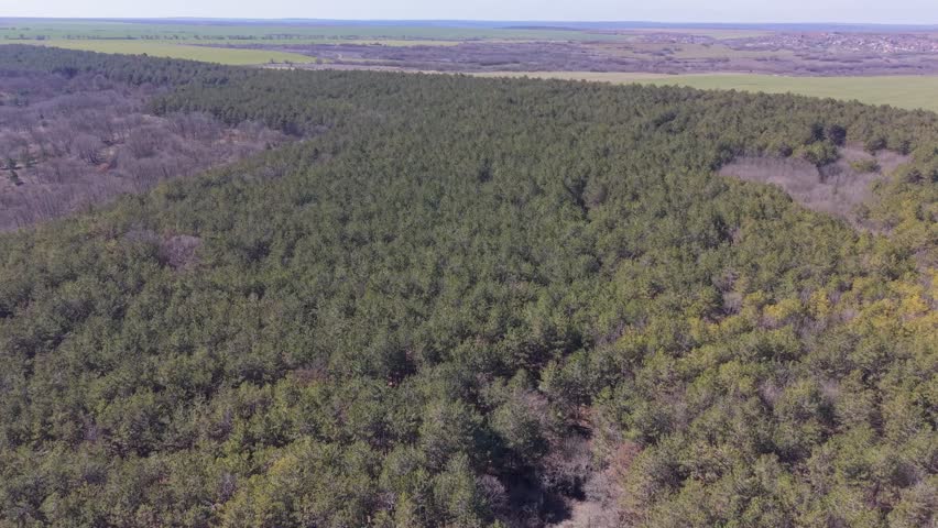 Drone shot of large green meadow surrounded by forest and dry land landscape