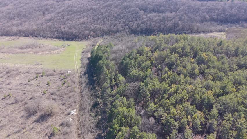 Aerial view of countryside landscape with forest patch and road crossing open agricultural land