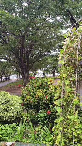 Scenic view of a lush green park with various ornamental plants and large shady trees by the lake under a cloudy sky. Peaceful atmosphere of a botanical garden or lakeside recreation area.
